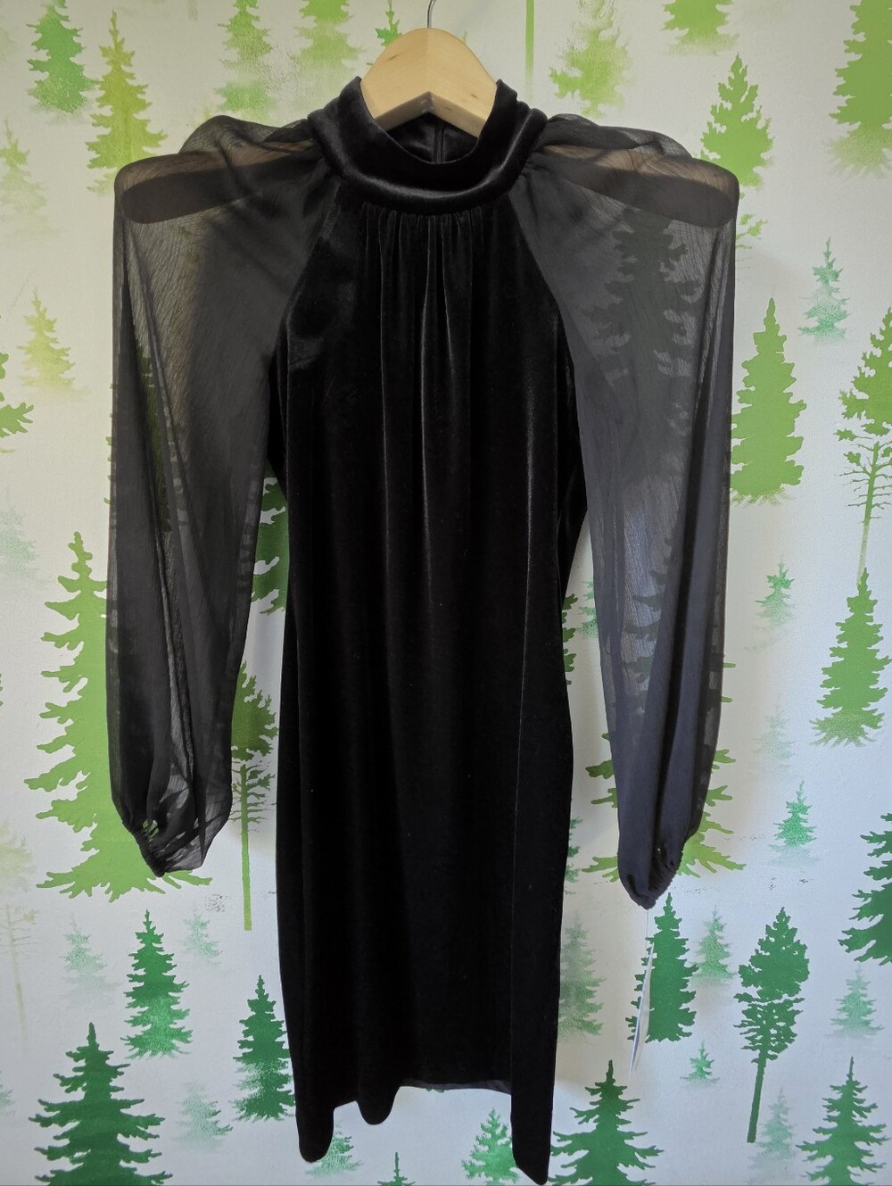 Marc New York Black Velvet Dress with Sheer Long Sleeves
